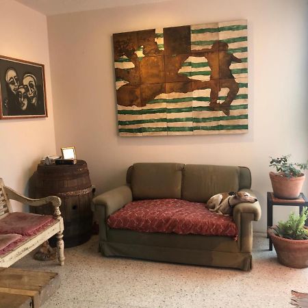 Posada Barbario Con 4 Habitaciones Oaxaca Dış mekan fotoğraf